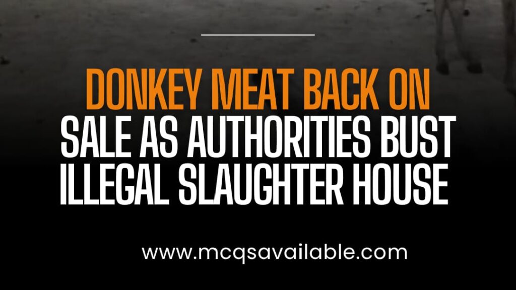 Donkey Meat Operation
