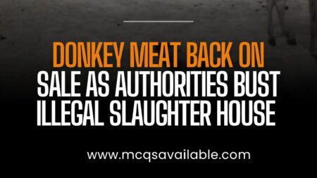 Donkey Meat Operation